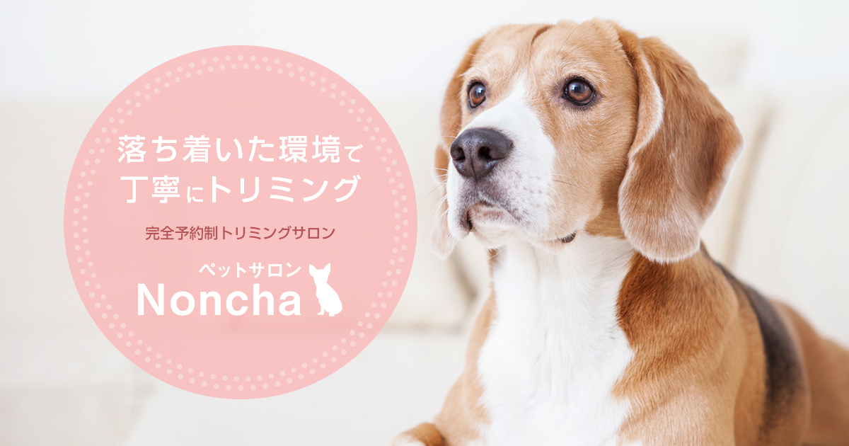 ペットサロン Nonchaのペットホテル・預かり情報をイメージできる写真